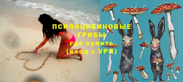 метадон Армянск