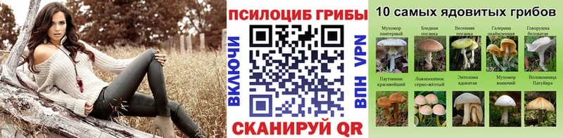 Галлюциногенные грибы мухоморы  blacksprut зеркало  Крым 